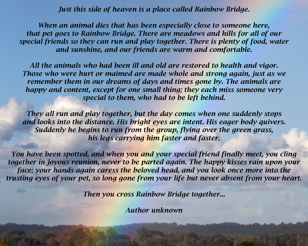 Rainbow Bridge Poem