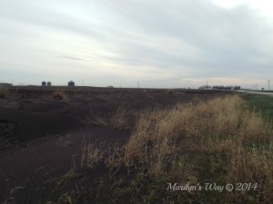 Soil Erosion Along The Ditch